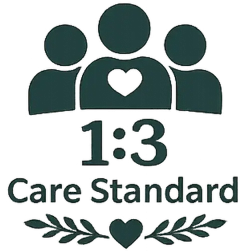 13 care standard